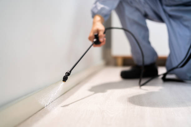Licensed Pest Control service in Newhall, IA - Show Me Pest Control