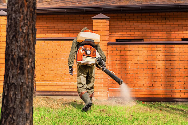 Bed Bug Clearance Verification and Documentation in Newhall